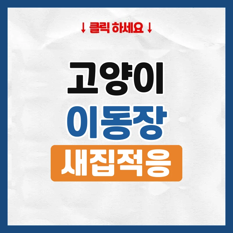 고양이 이사, 이동과 새집 적응 돕는 법